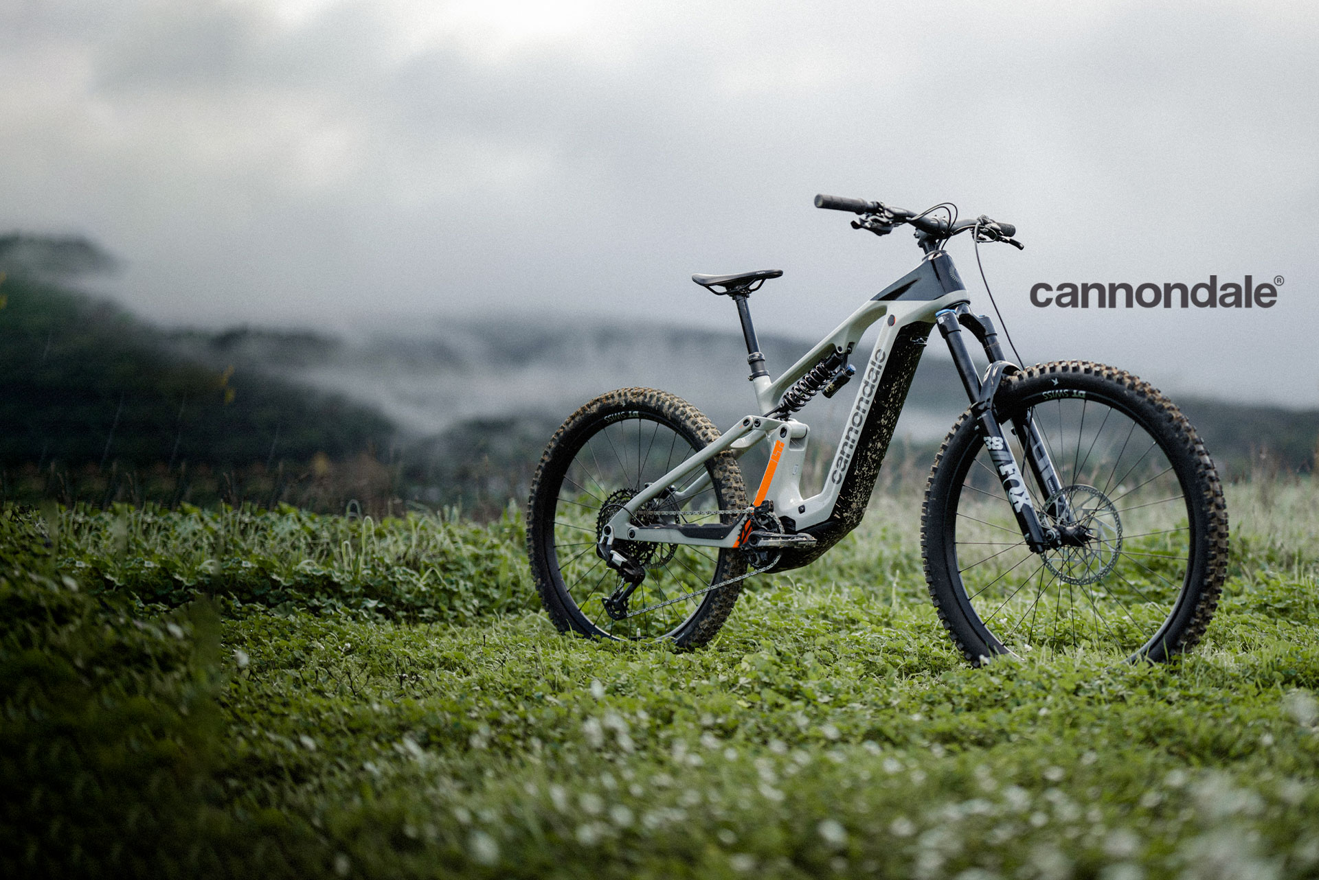 cannondale da ebikelab