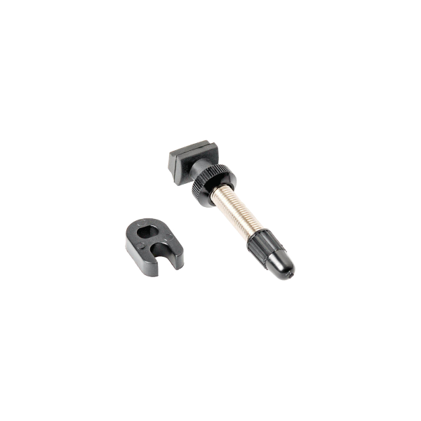 DT SWISS VALVOLA TUBELESS ROAD V2 - Per cerchi alti 26-35mm, argento, confezione 1 pezzo