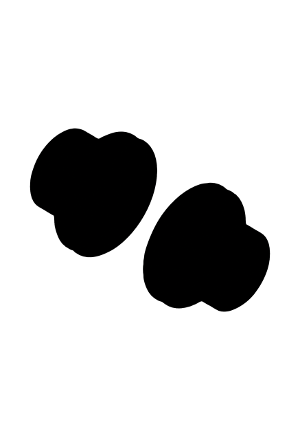 DT Swiss DT Swiss Kit adatt. DT Swiss mozzo RA - 110/20mm TA, non Boost, nero