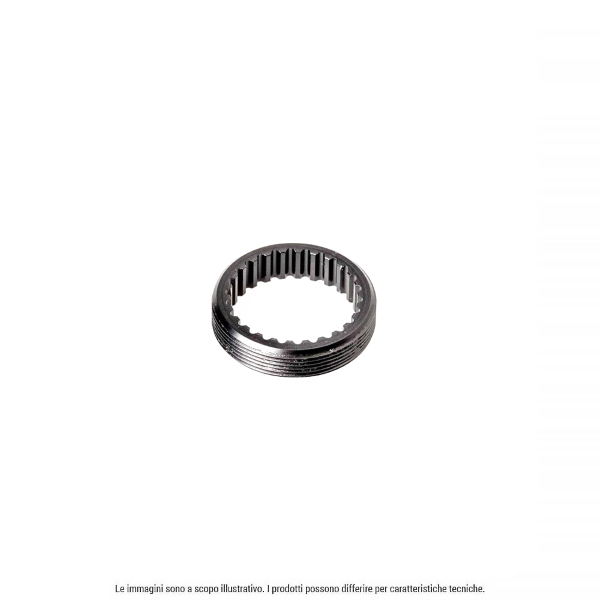 DT SWISS Cremagliera Acciaio M34x1 per mozzi 3-cricchetti