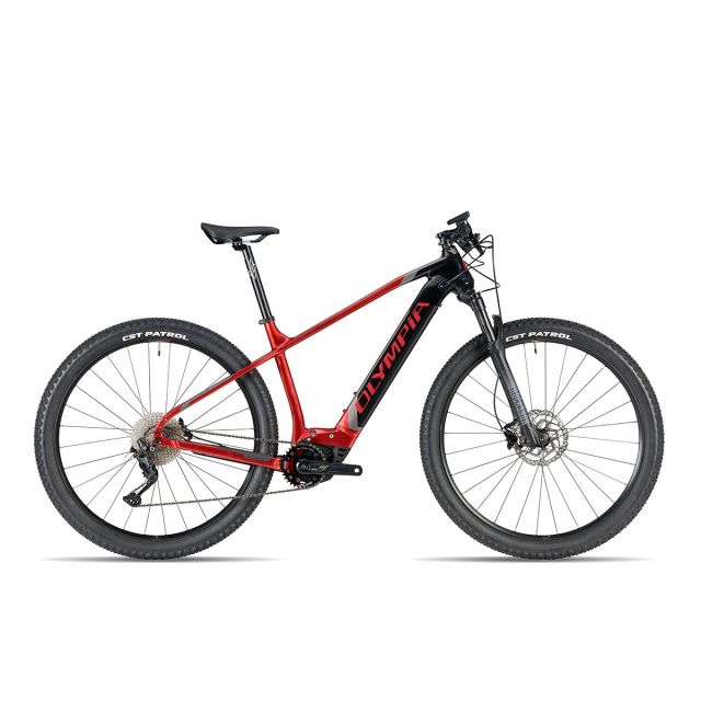 OLYMPIA CICLI BLAKE 1044Wh cc04