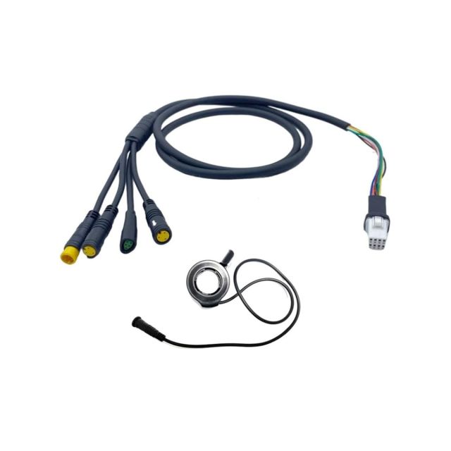 PLATUM ACCELERATORE + CAVO PRINCIPALE 1T4 L=1600MM