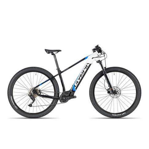 OLYMPIA CICLI PERFORMER 900 cc03